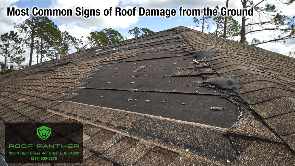Signs Roof Damage From Ground Roof Panther