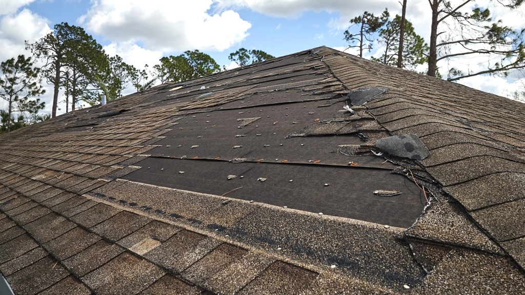 Signs Roof Damage From Ground